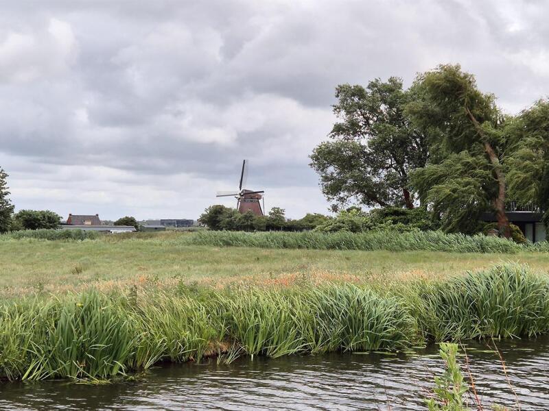 delftse hout delft 44846 xl